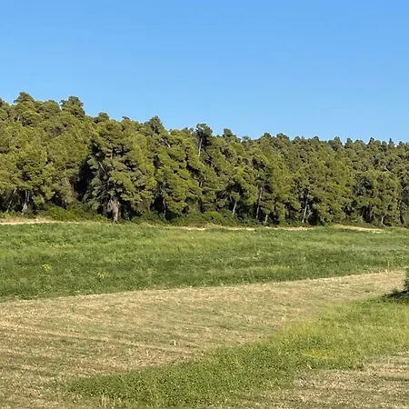 Lejlighedshotel Oikos Sani