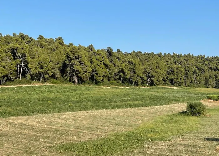 Lejlighedshotel Oikos Sani